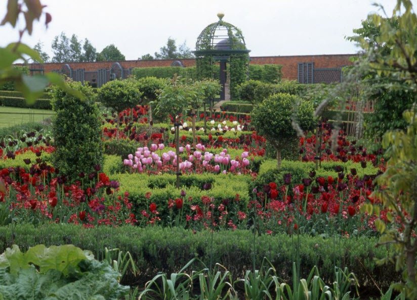 Thenford Gardens and Arboretum, United Kingdom